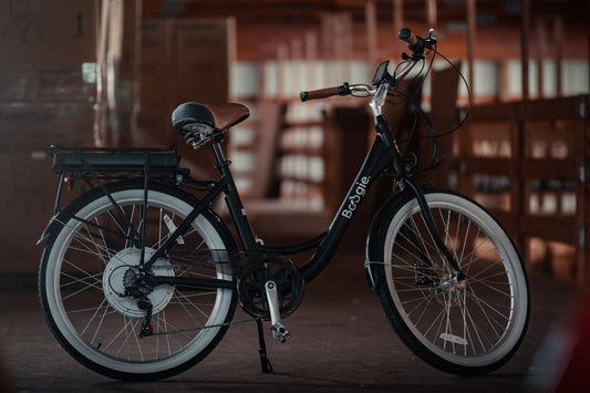 If You Have to Buy One Ebike, Make It A Cruiser Bike