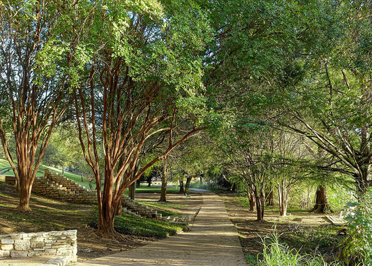 10 Best Bike Trails in Texas