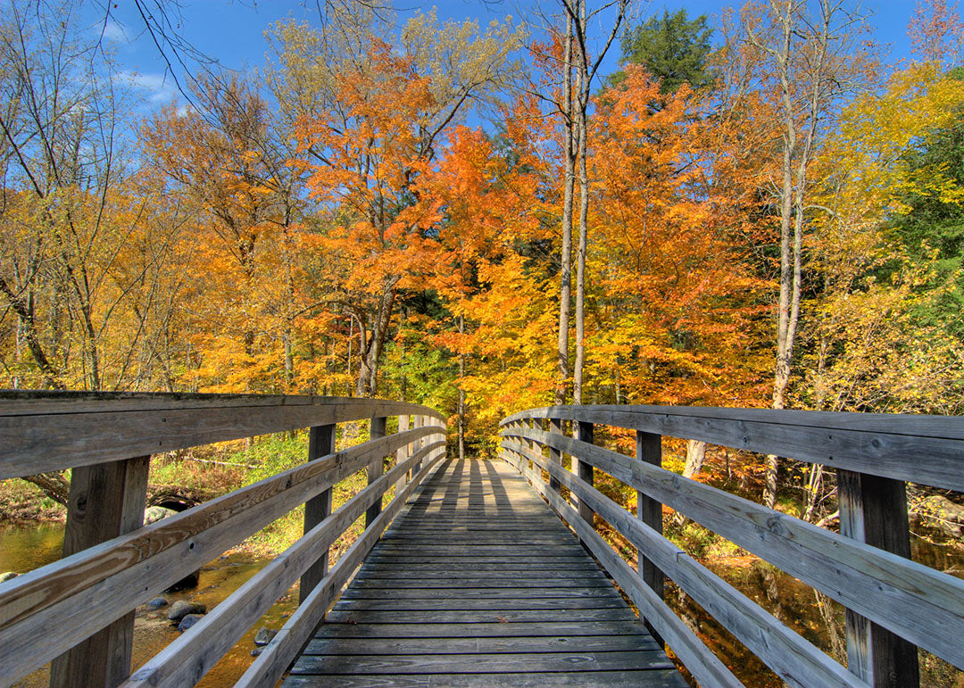 34 Best Bike Trails in Pennsylvania
