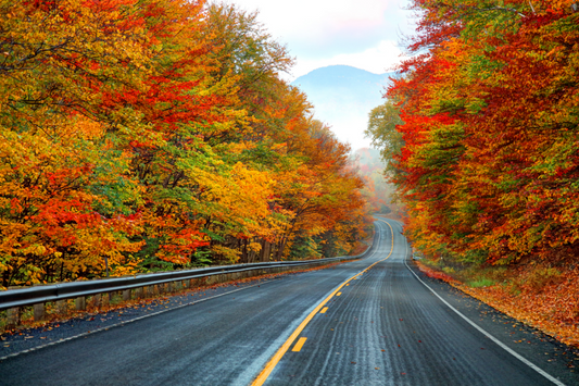 Uncover the Hidden Autumn Bike Trails in the US