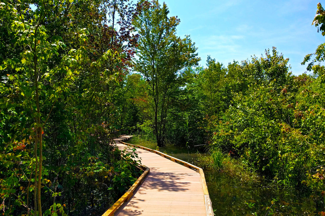 10 Family Bike Rides in Virginia
