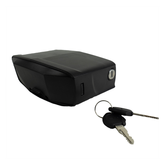 Cruiser Bike Controller Housing and Cover